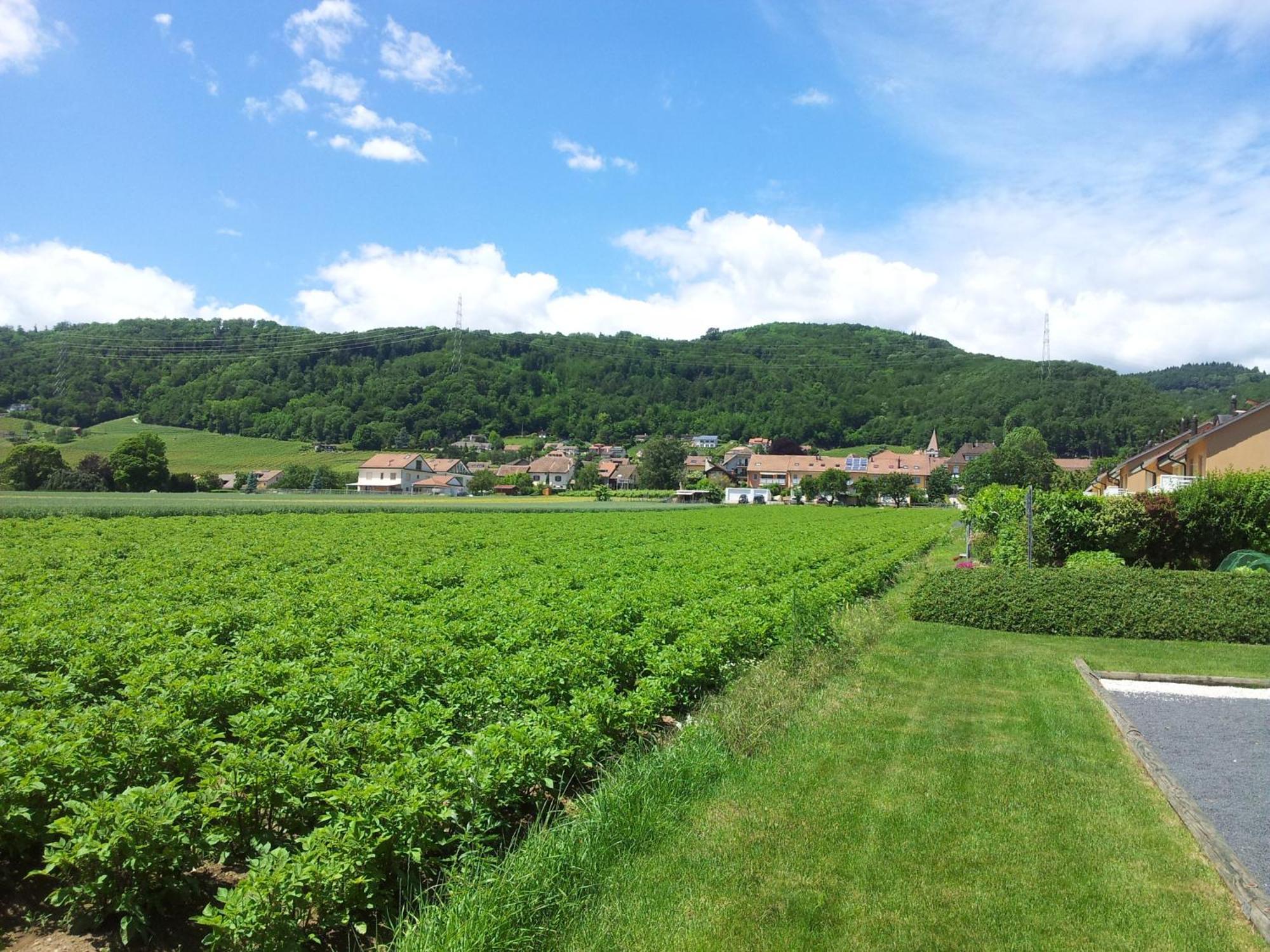 Bed and breakfast Au Coeur Du Vignoble Sur Bursins Extérieur photo