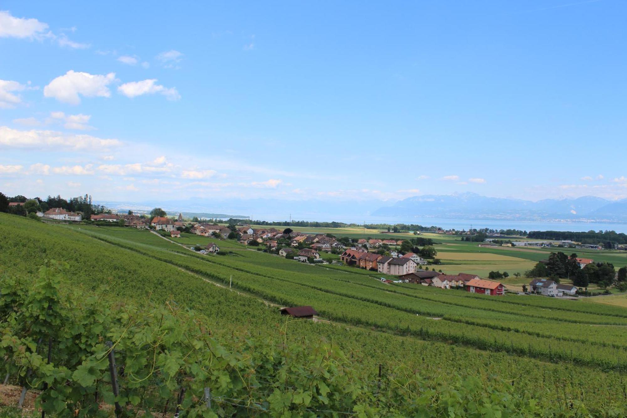 Bed and breakfast Au Coeur Du Vignoble Sur Bursins Extérieur photo
