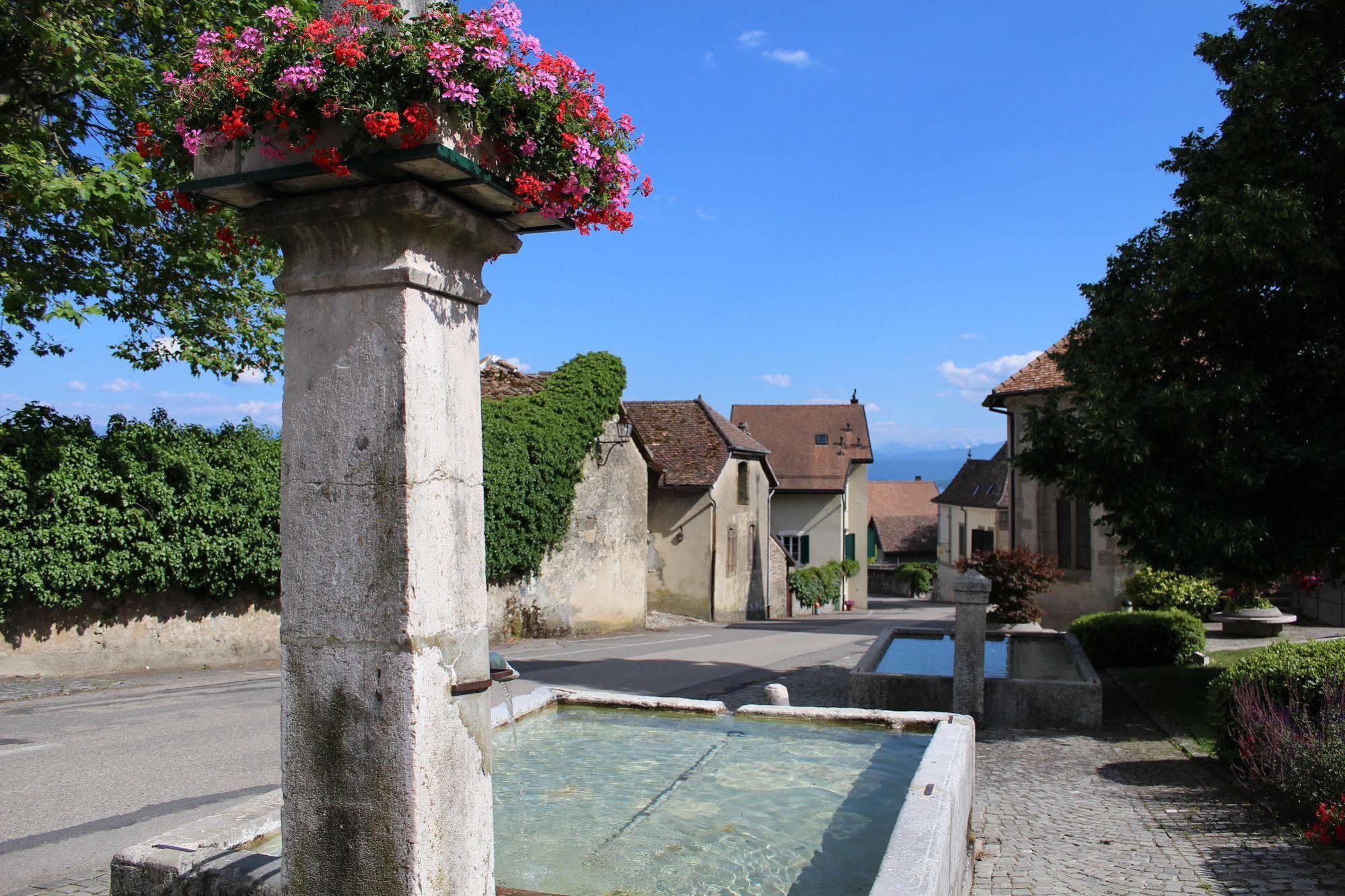 Bed and breakfast Au Coeur Du Vignoble Sur Bursins Extérieur photo